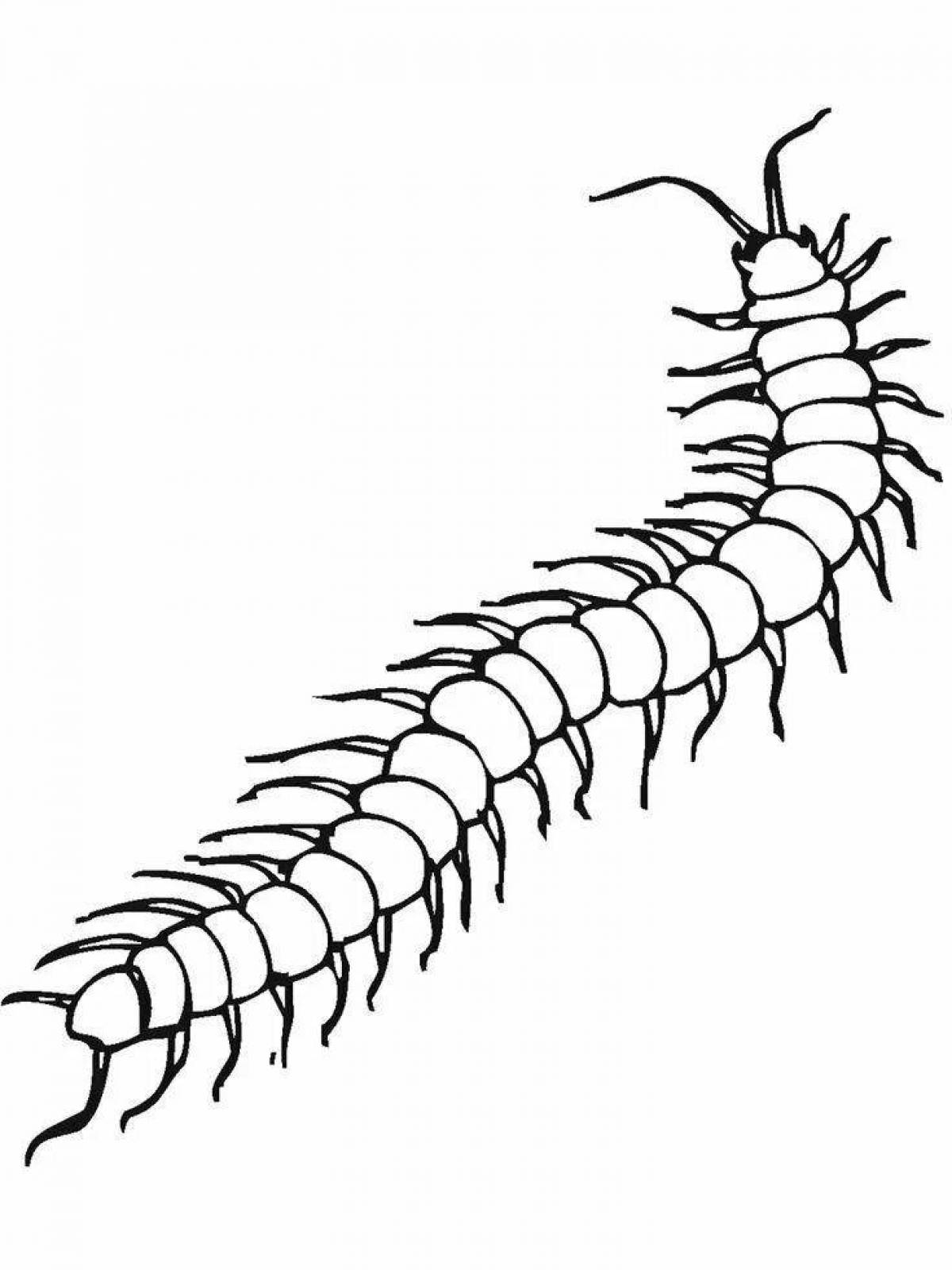 Color-frenzy centipede coloring page
