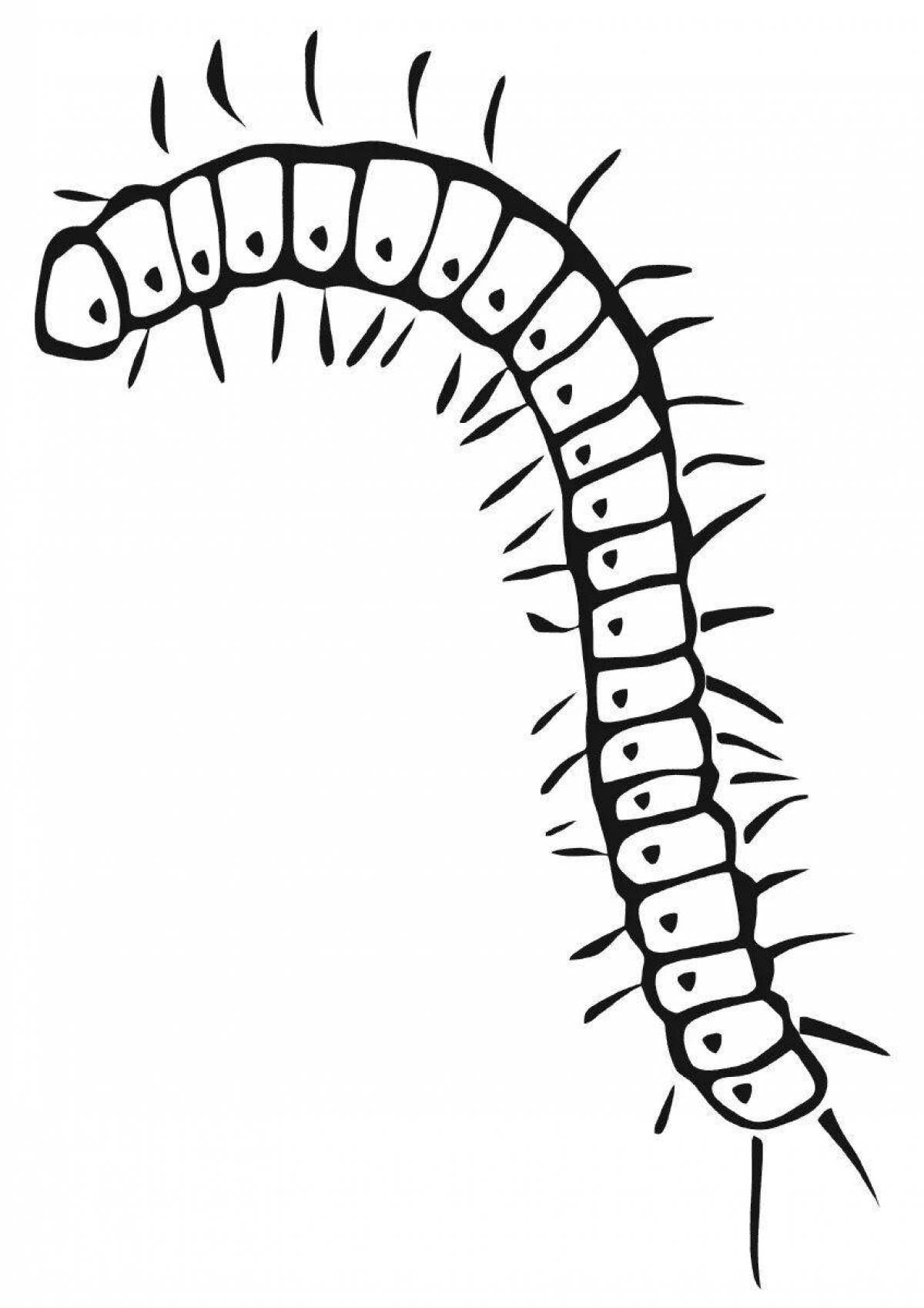Centipede #13