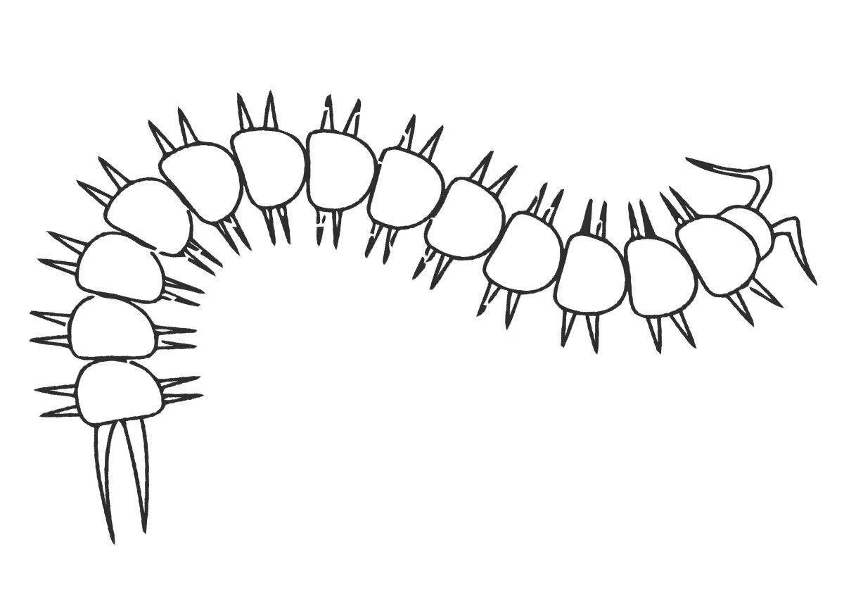 Centipede #14
