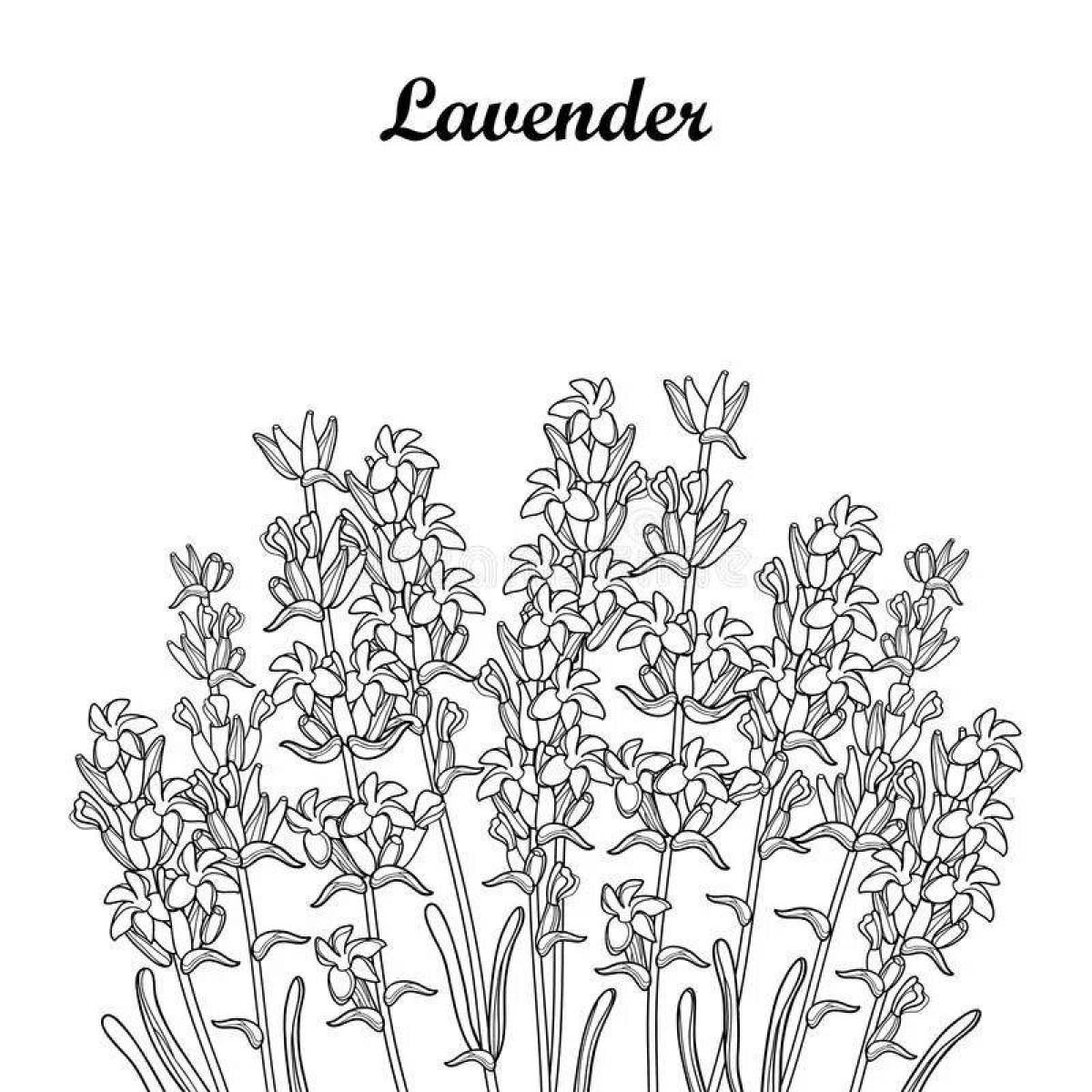 Coloring serene lavender