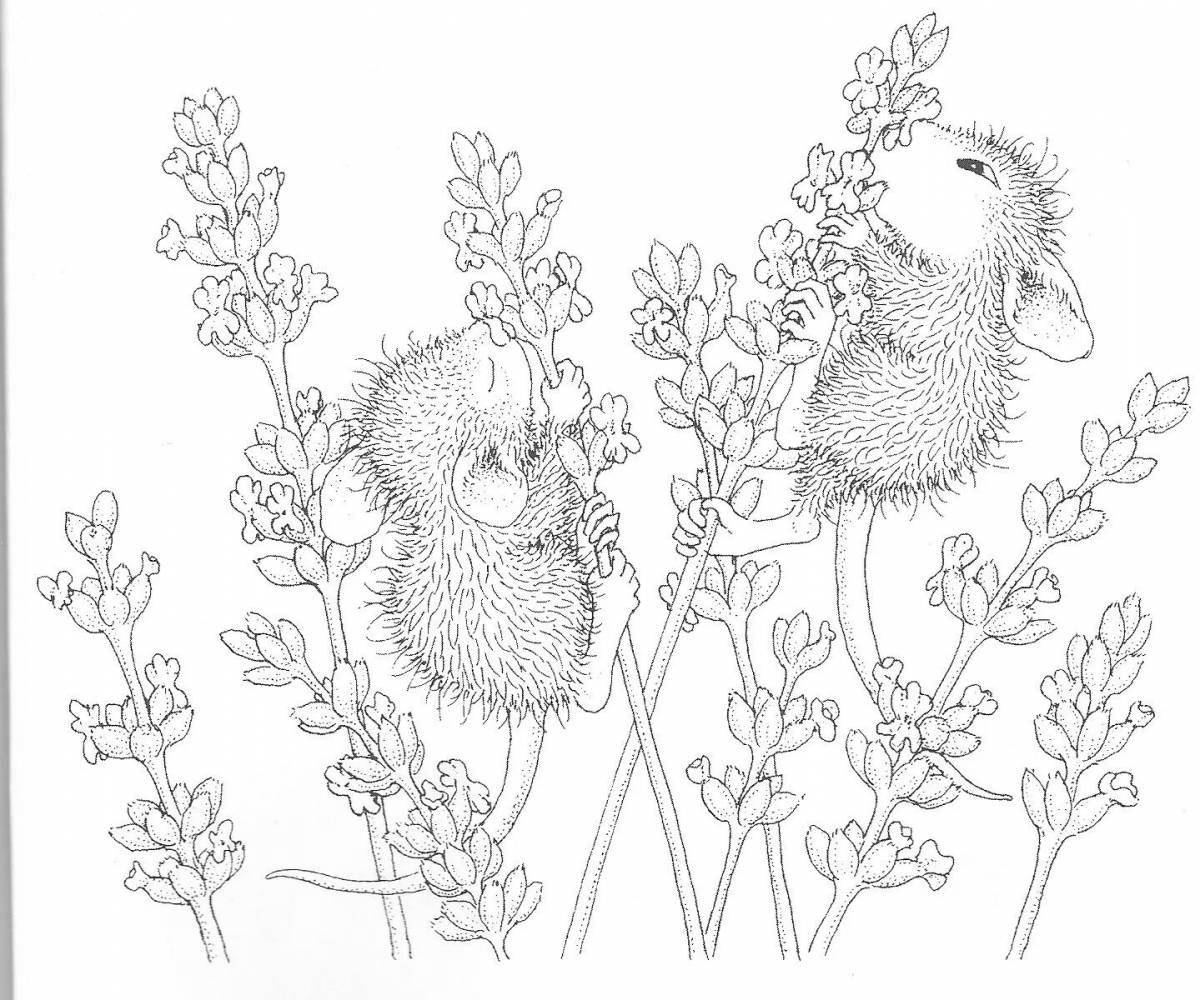 Charming lavender coloring page