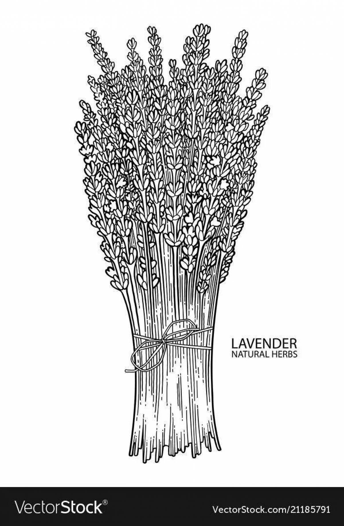 Playful lavender coloring page