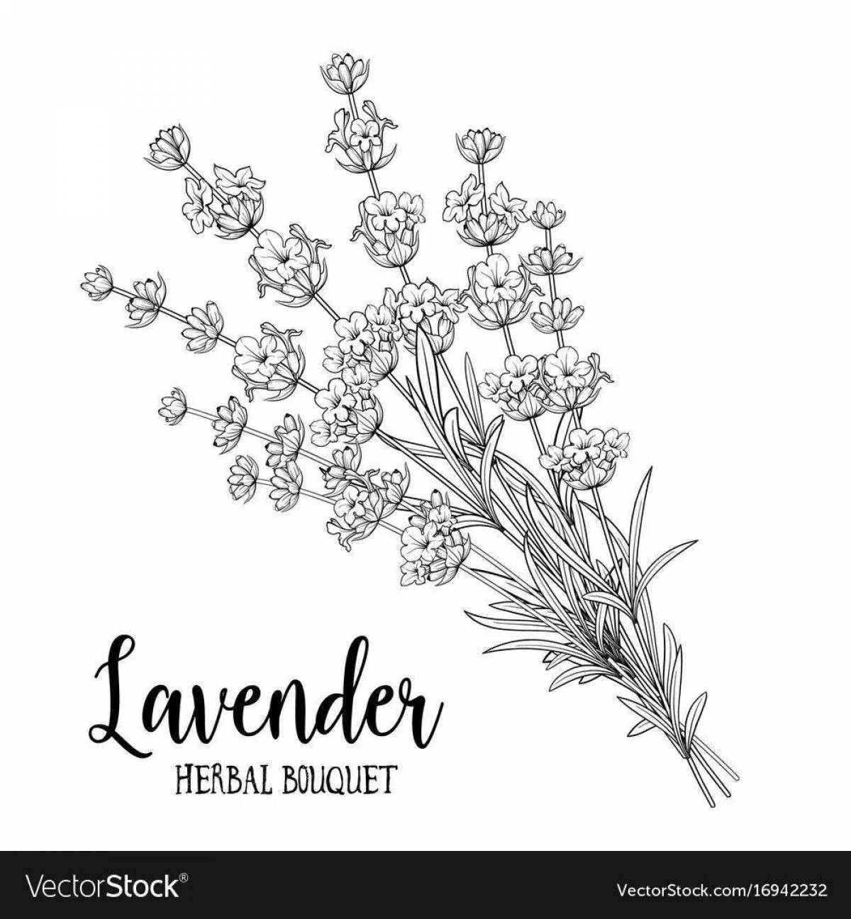Colorful lavender coloring page