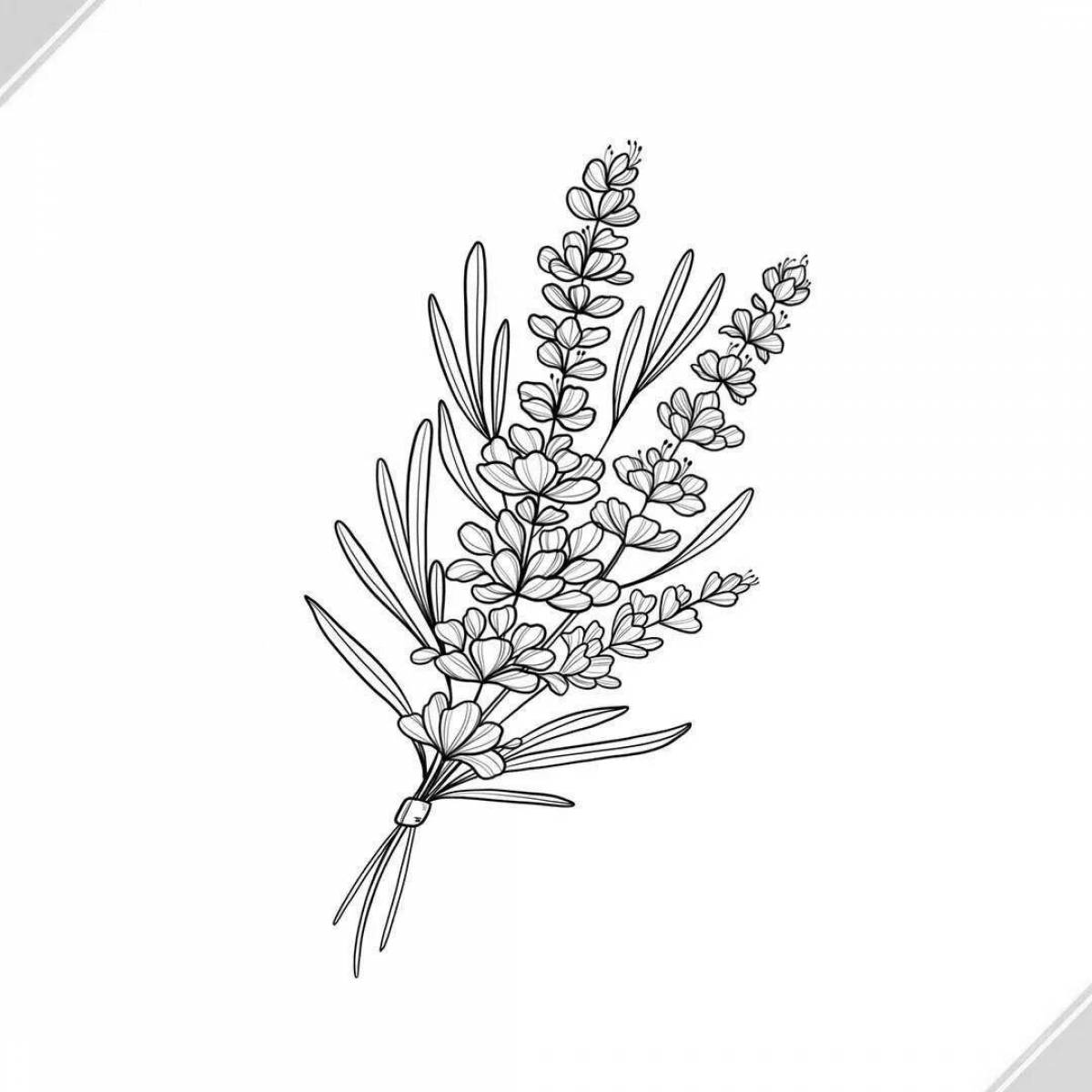 Refreshing lavender coloring page