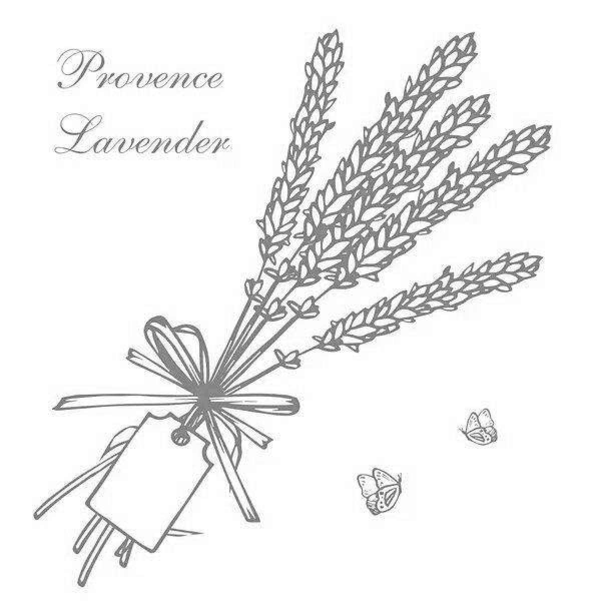 Colouring peaceful lavender