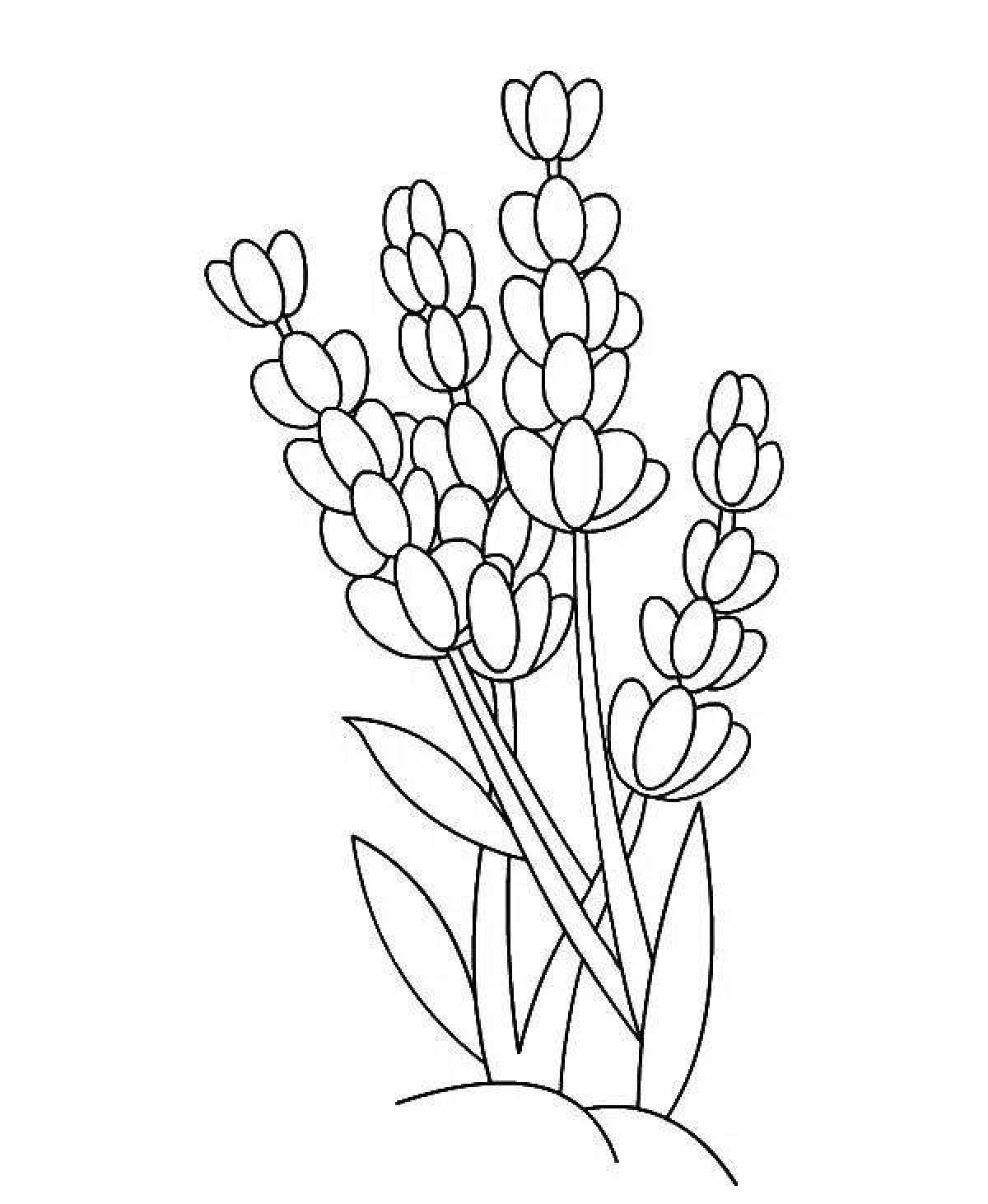 Inspirational lavender coloring book