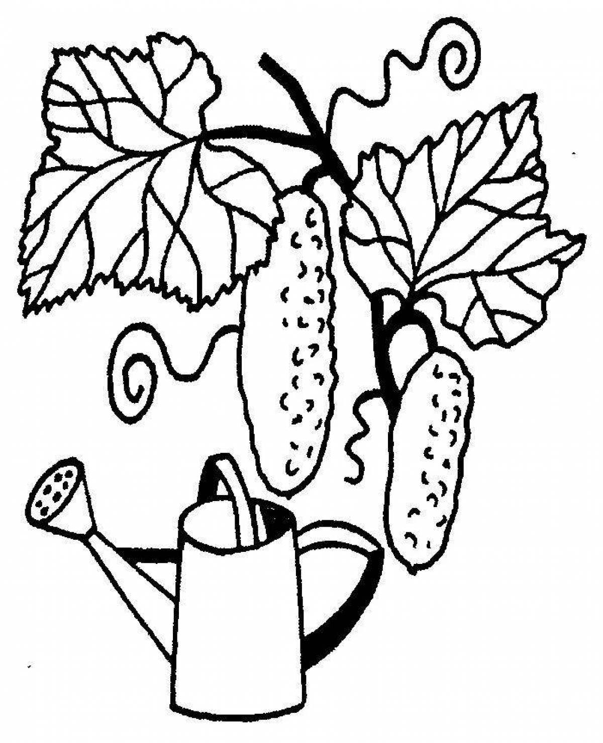 Animated cucumber coloring page