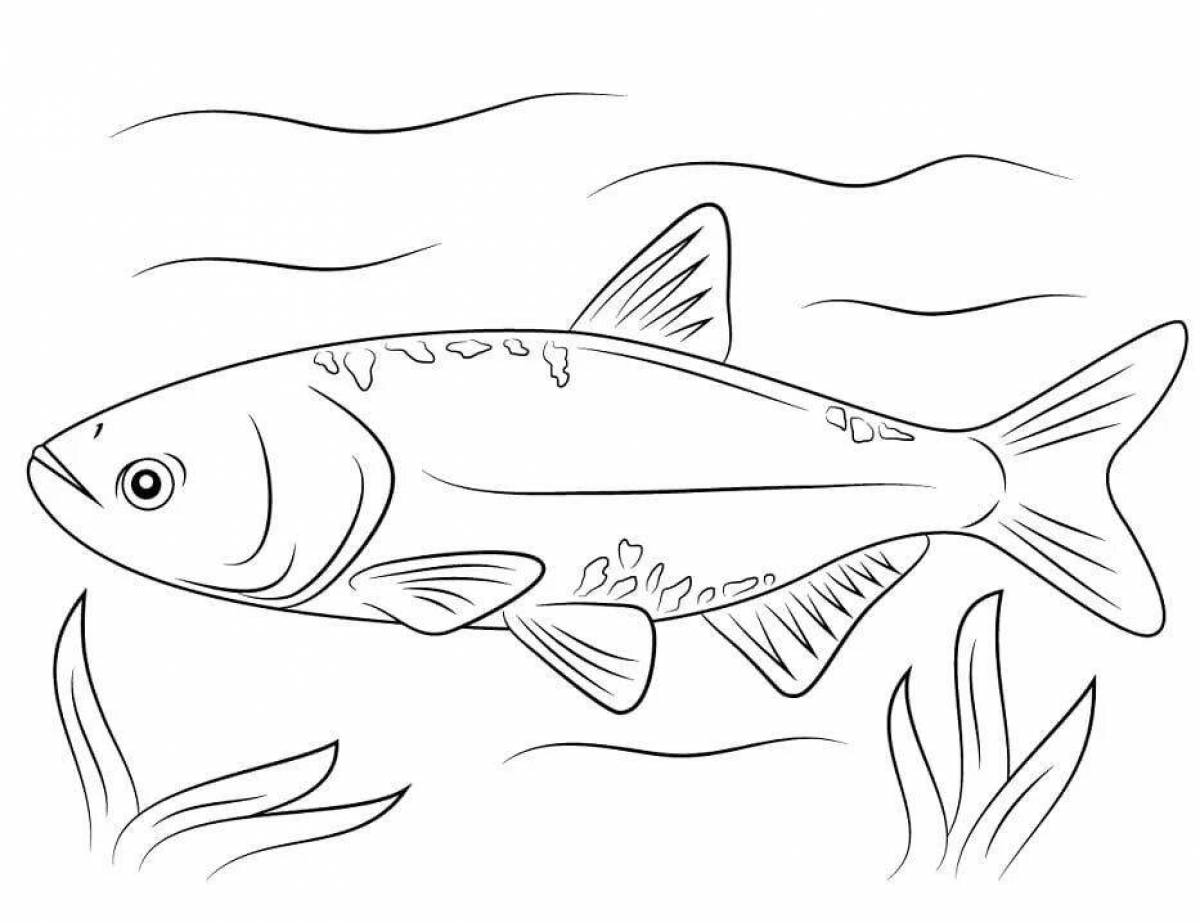Awesome carp coloring page