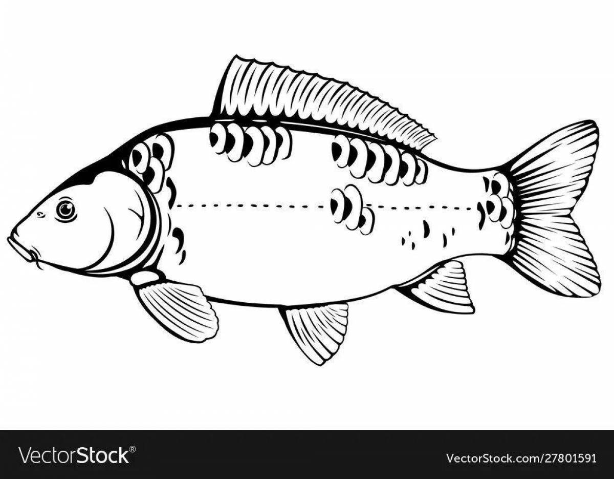 Sweet carp coloring page
