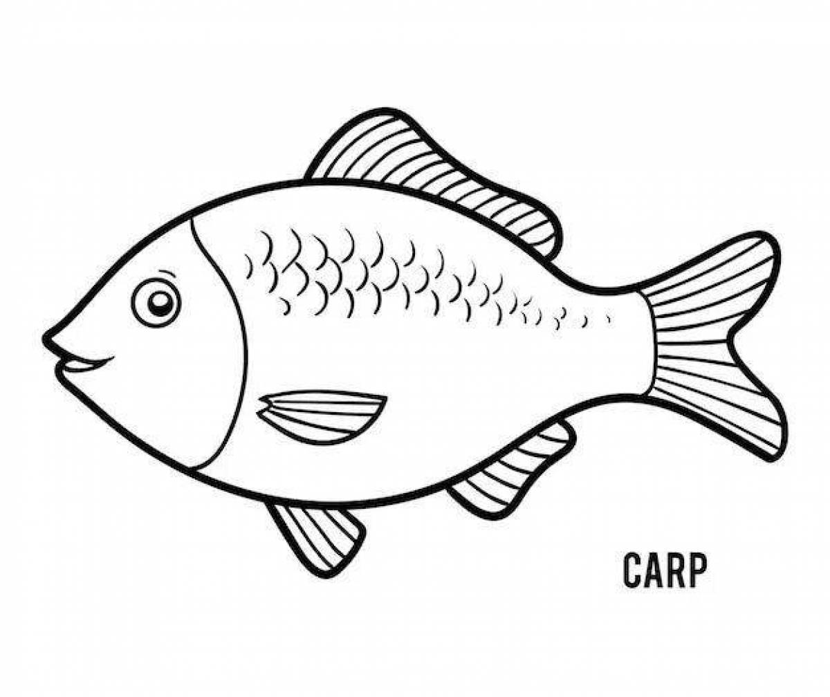 Coloring cute carp