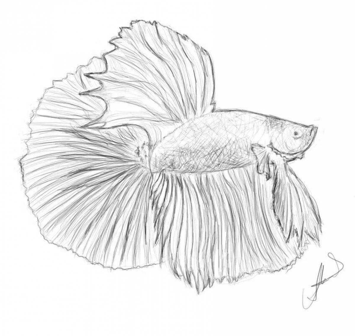 Рыбка петушок карандашом