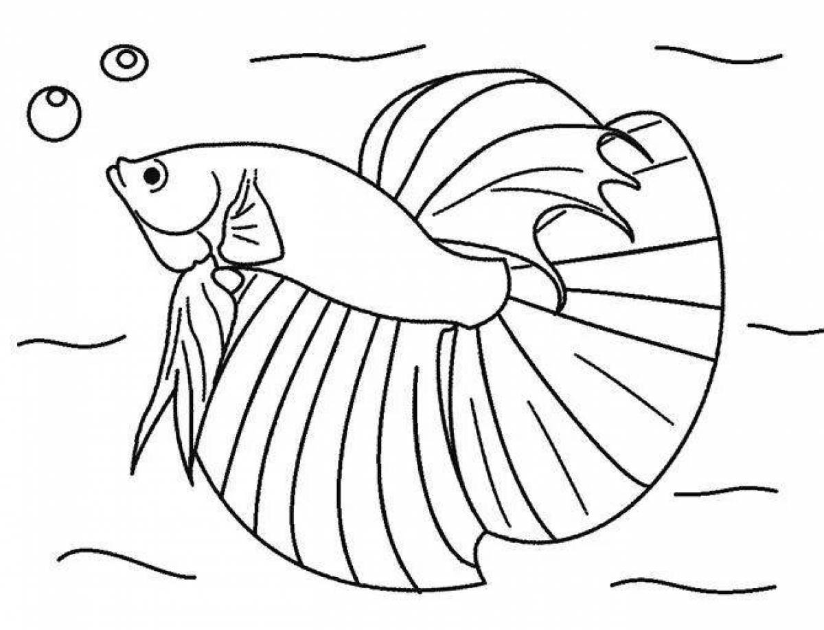Рыбка петушок раскраска для детей