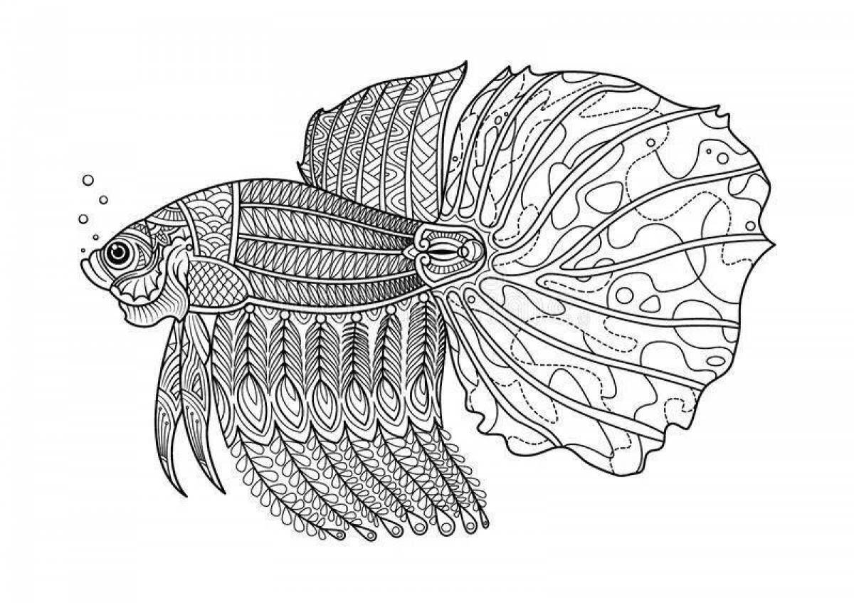 Рыбка петушок сиамский раскраска