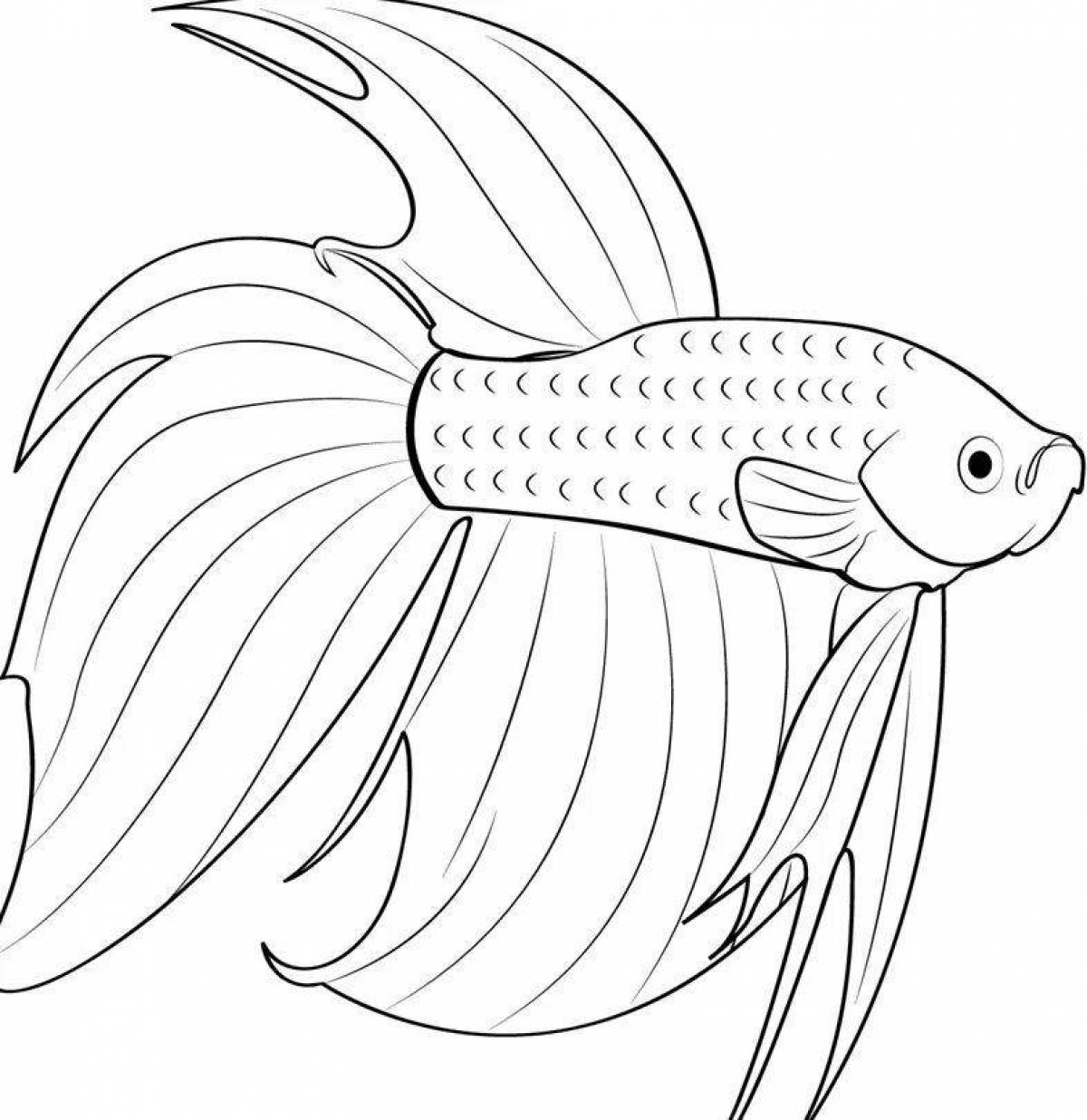 Рыбка гуппи раскраска