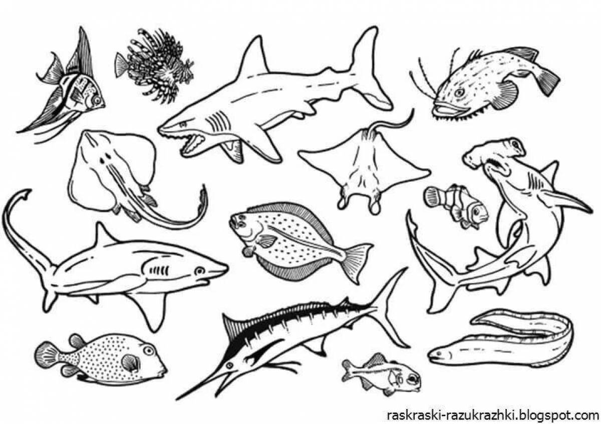 Каких домашних млекопитающих рыб разводят люди. Морские рыбы раскраска. Раскраска "морские жители". Морские обитатели раскраска для детей. Раскраски рыбы и морские обитатели.