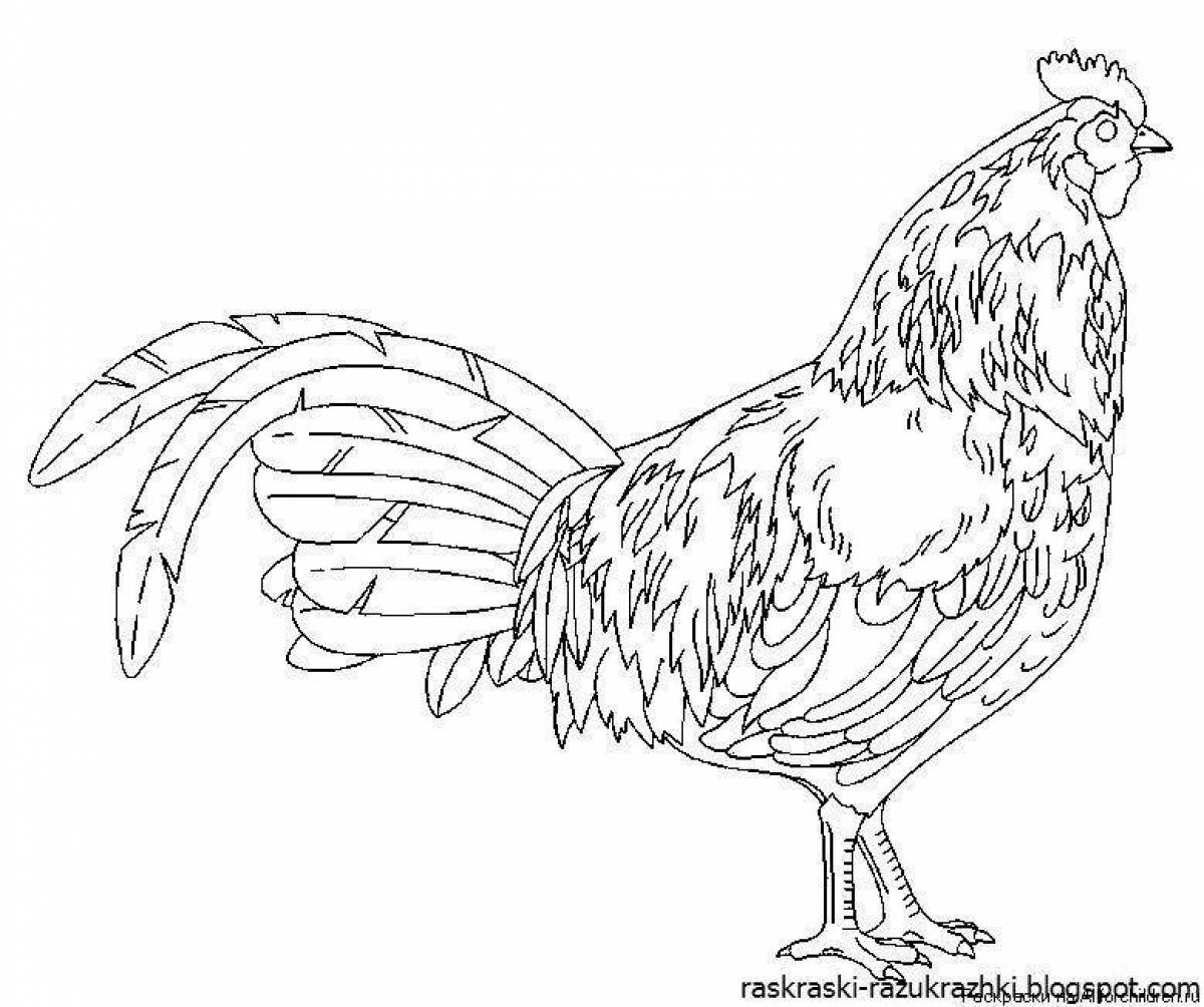 Brightly colored rooster coloring page