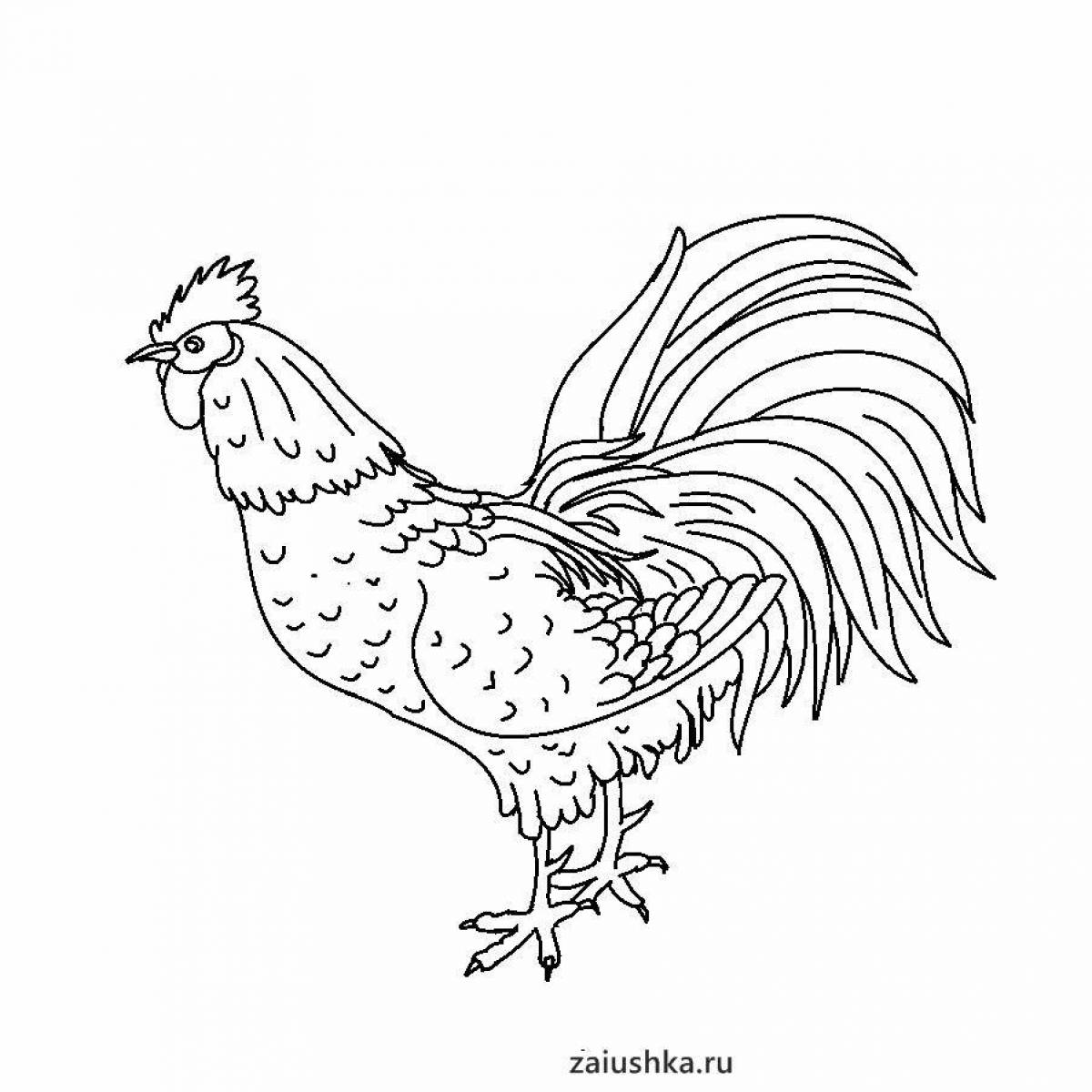 Coloring book of a gorgeously colored rooster