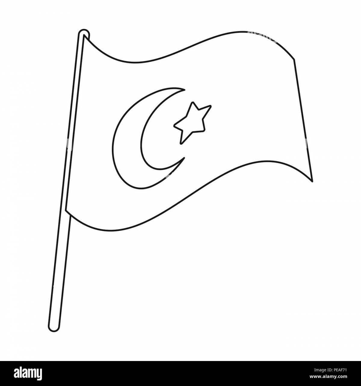 Coloring page dazzling turkey flag