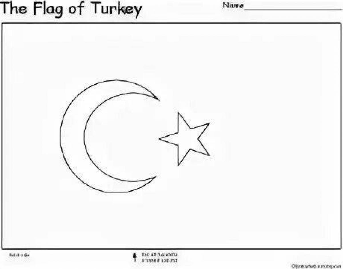 Coloring page beautiful turkey flag