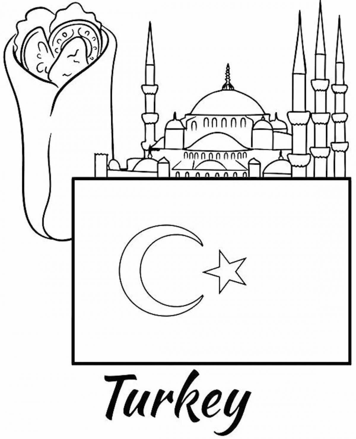 Turkish flag #1