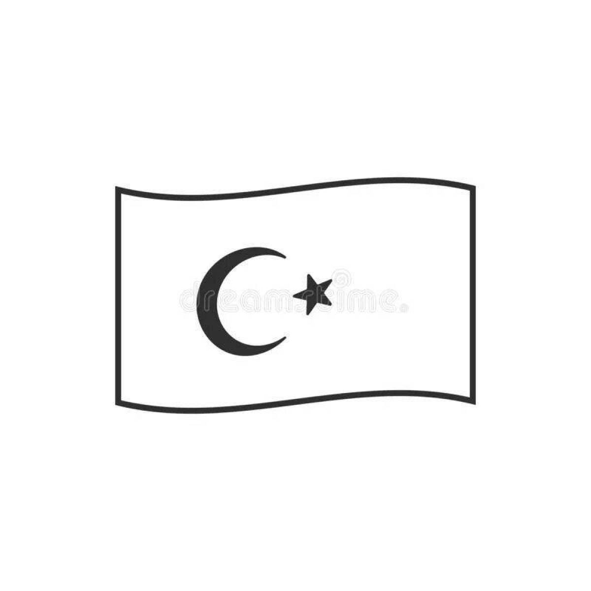Turkish flag #3