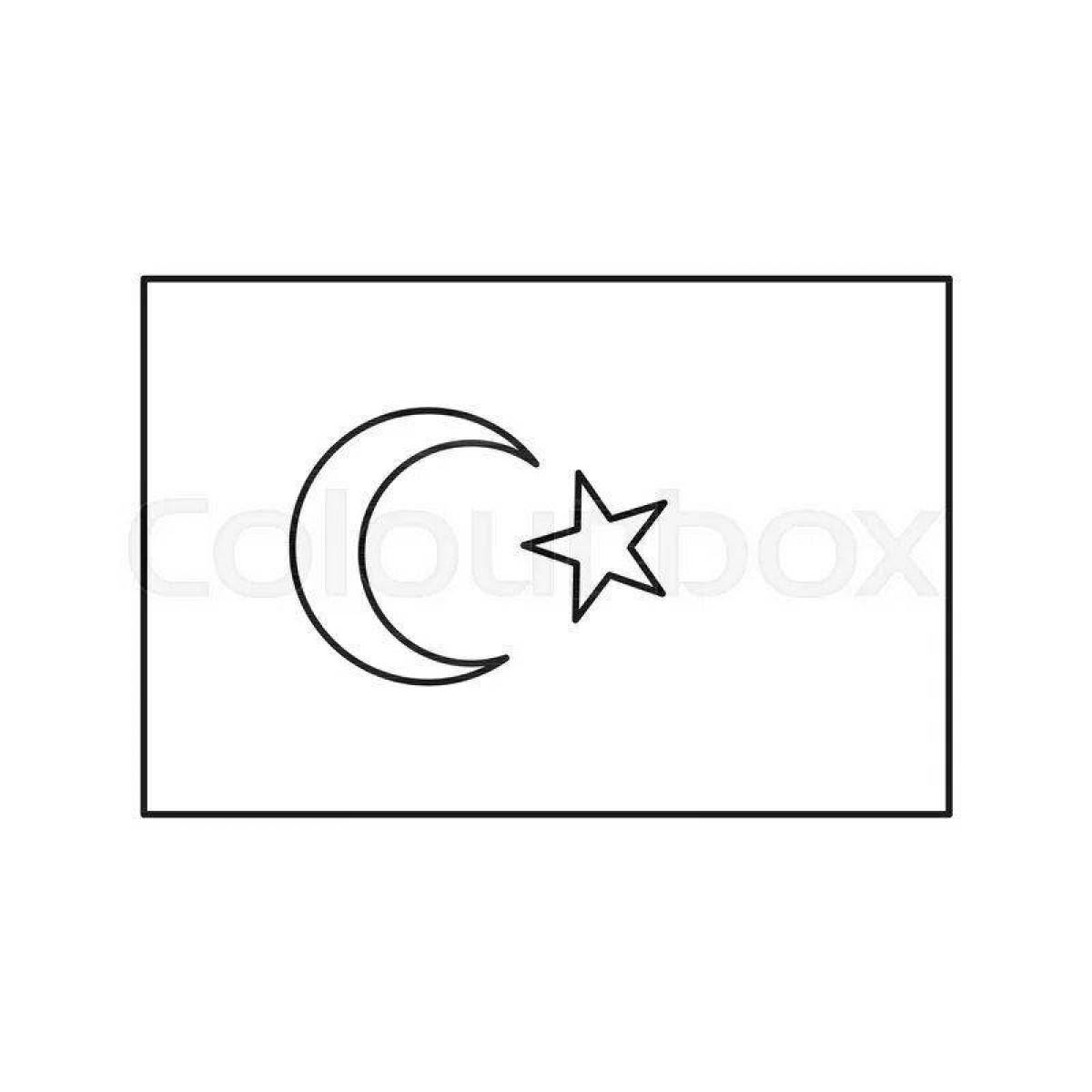 Turkish flag #5