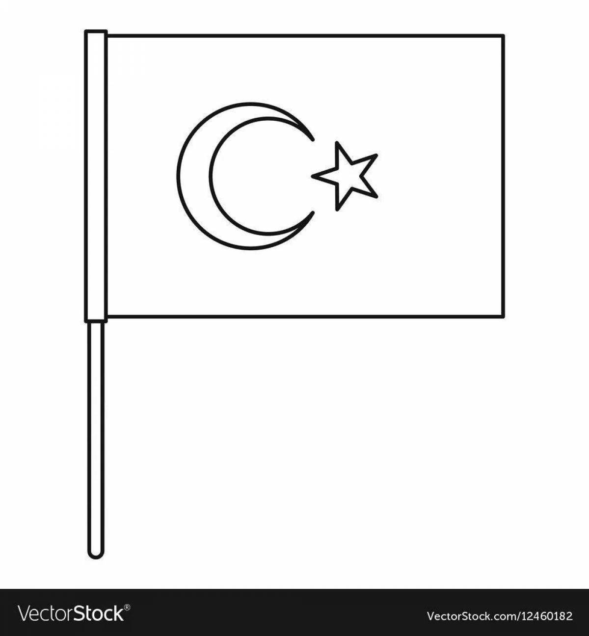 Turkish flag #8