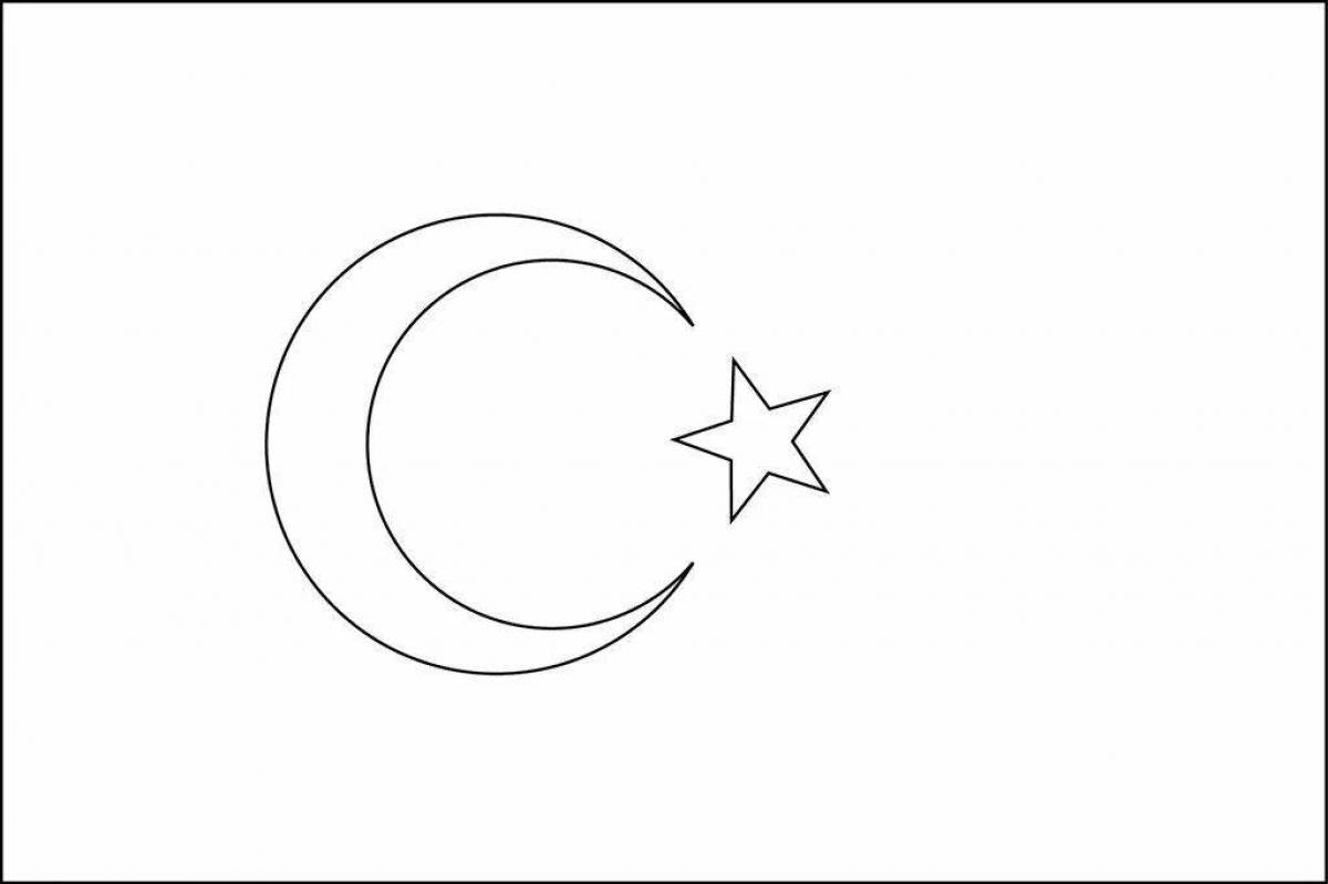 Turkish flag #9