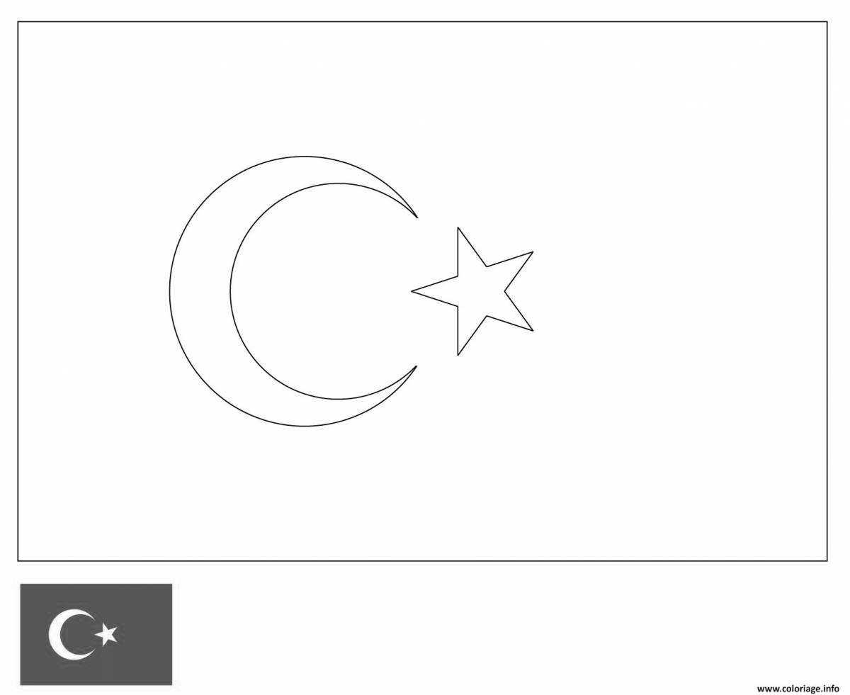 Turkish flag #12