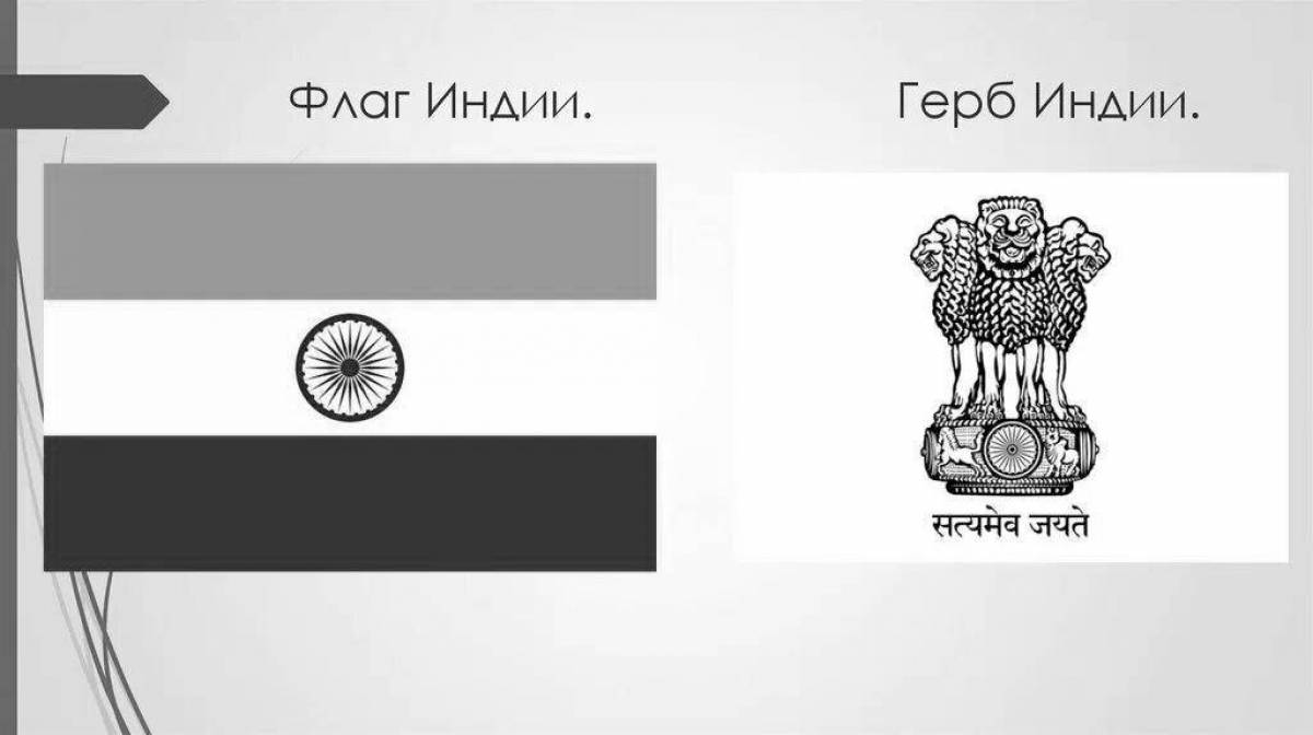 Coloring page majestic flag of india