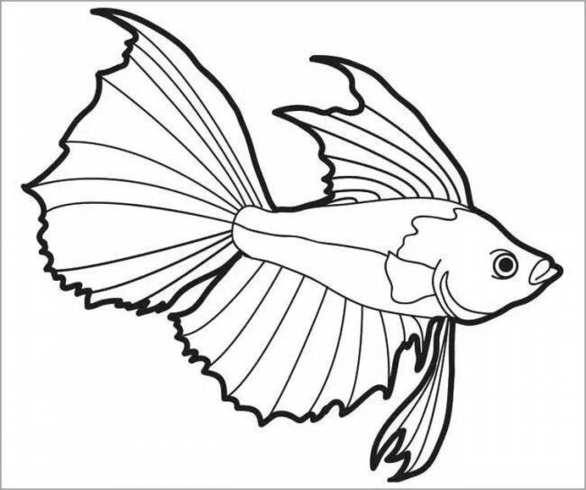 Coloring funny cockerel fish