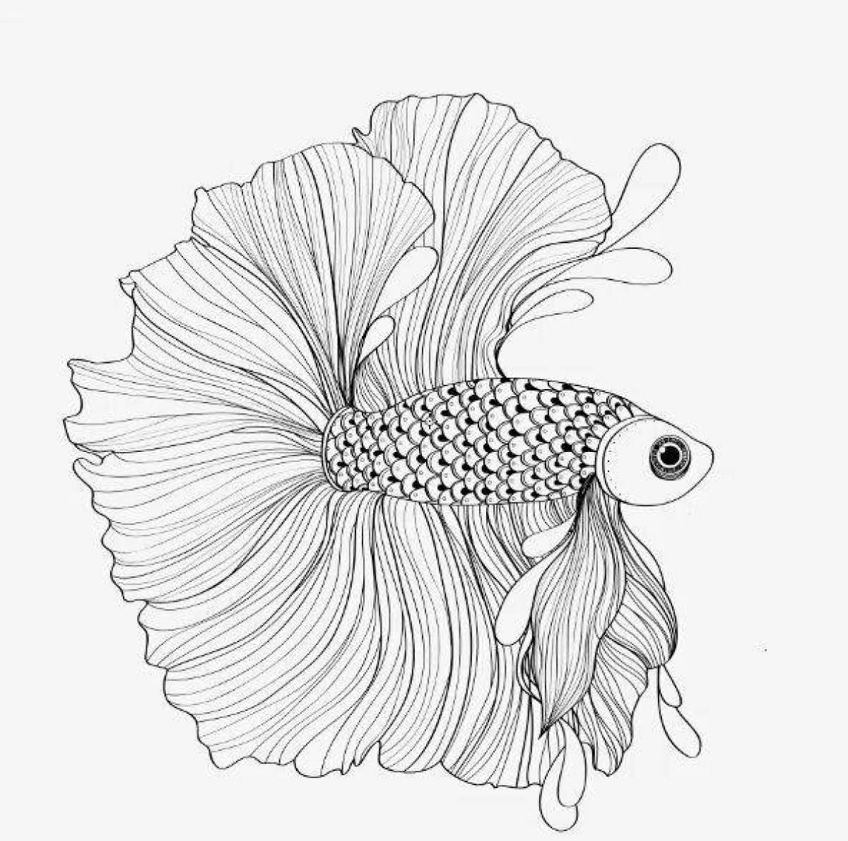 Charming cockerel fish coloring book
