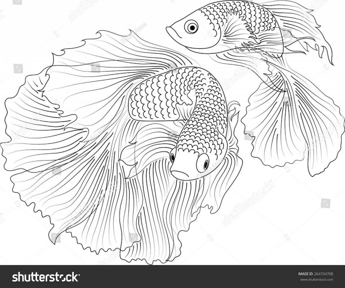 Раскраска рыбка петушок