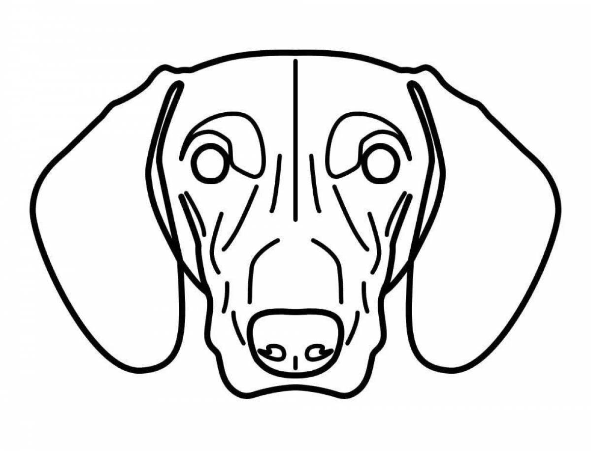 Colorful dog face coloring book