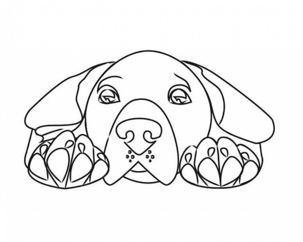 Coloring page exquisite dog muzzle