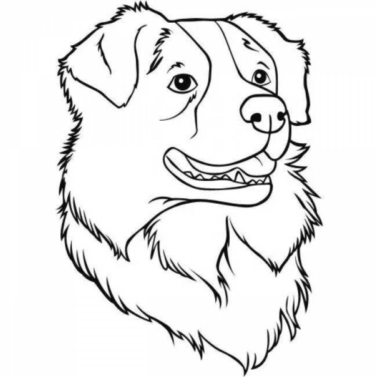 Coloring book shining muzzle of a dog