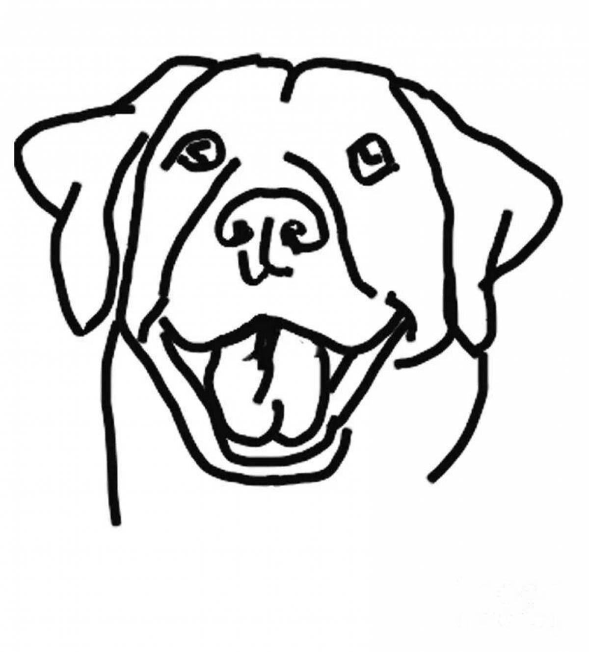 Coloring book shining dog face
