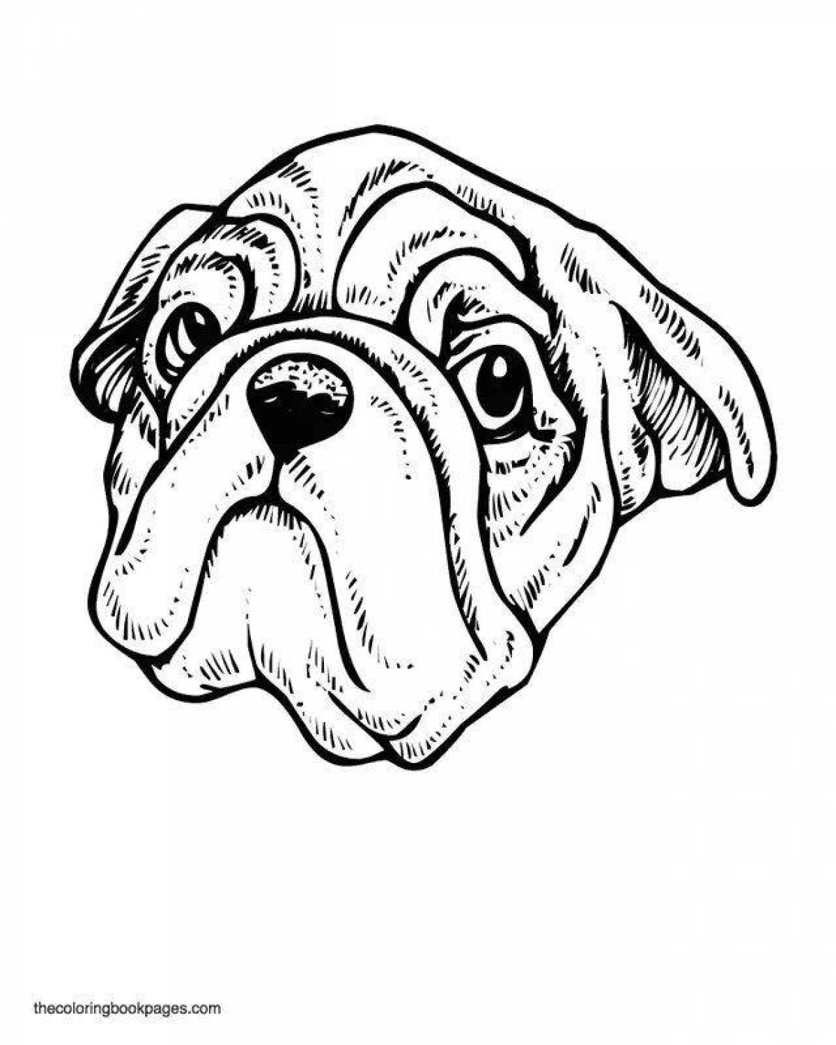 Coloring page blooming dog muzzle