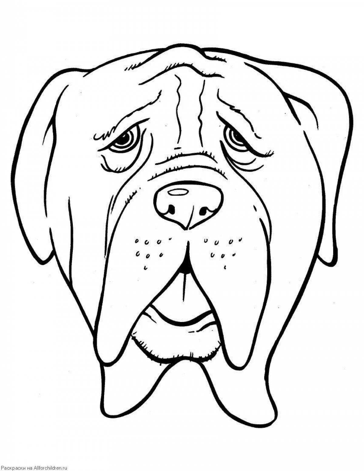 Humorous dog face coloring book