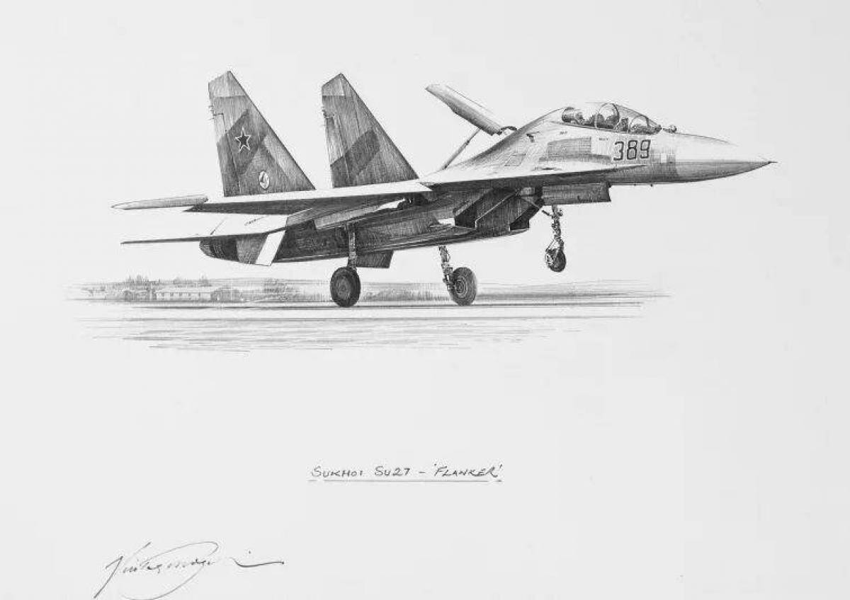 Coloring lovely su 27