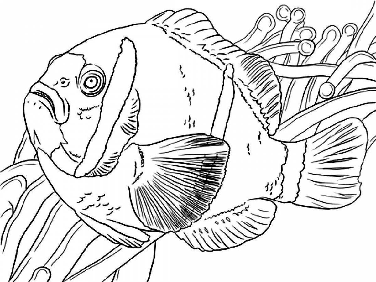Славная страница раскраски морской рыбы