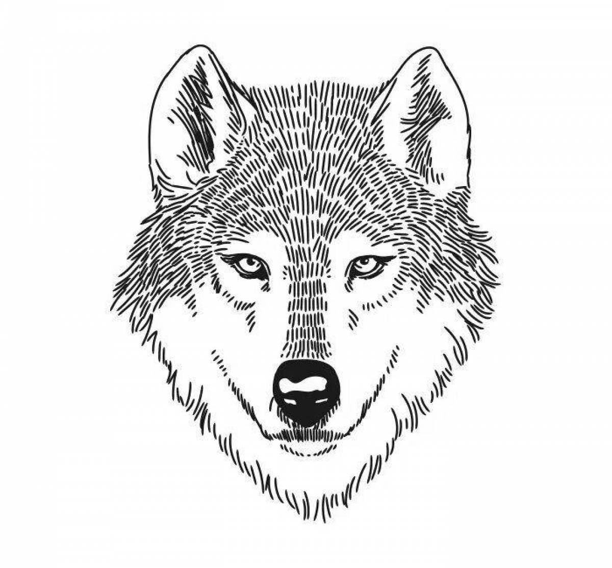 Impressive wolf head coloring book