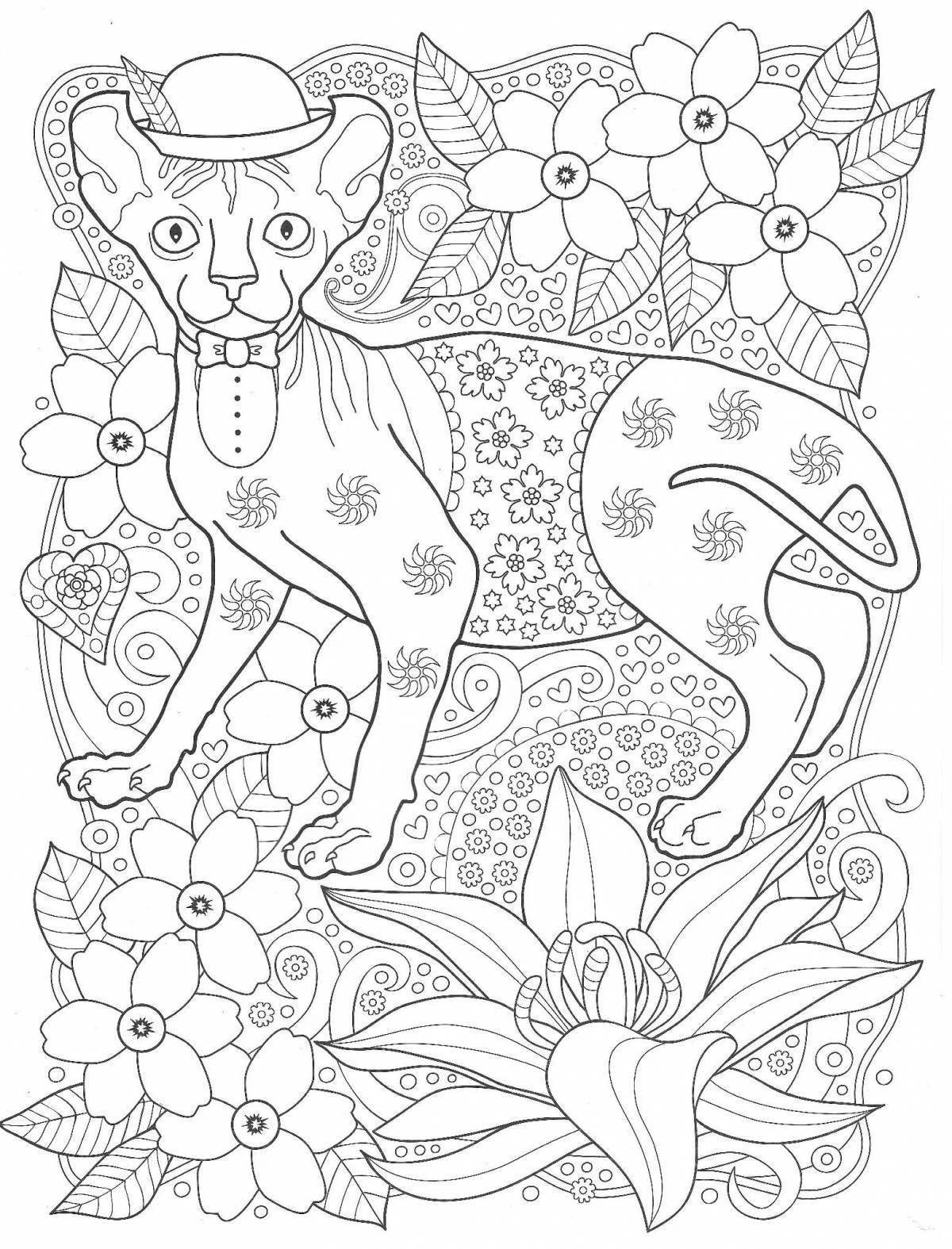 Очаровательная раскраска кошки-сфинкса