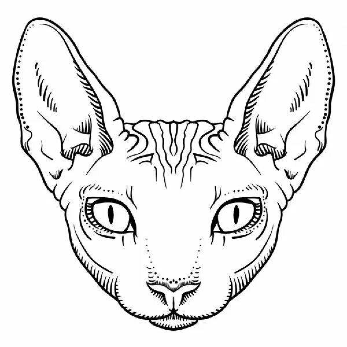 Раскраска пушистый кот сфинкс