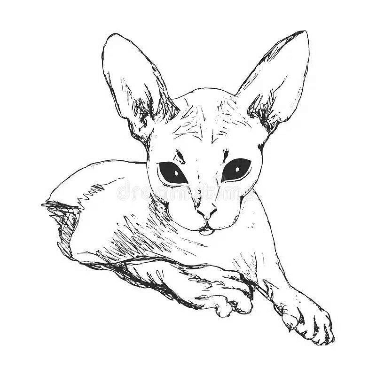 Очаровательная раскраска кота-сфинкса