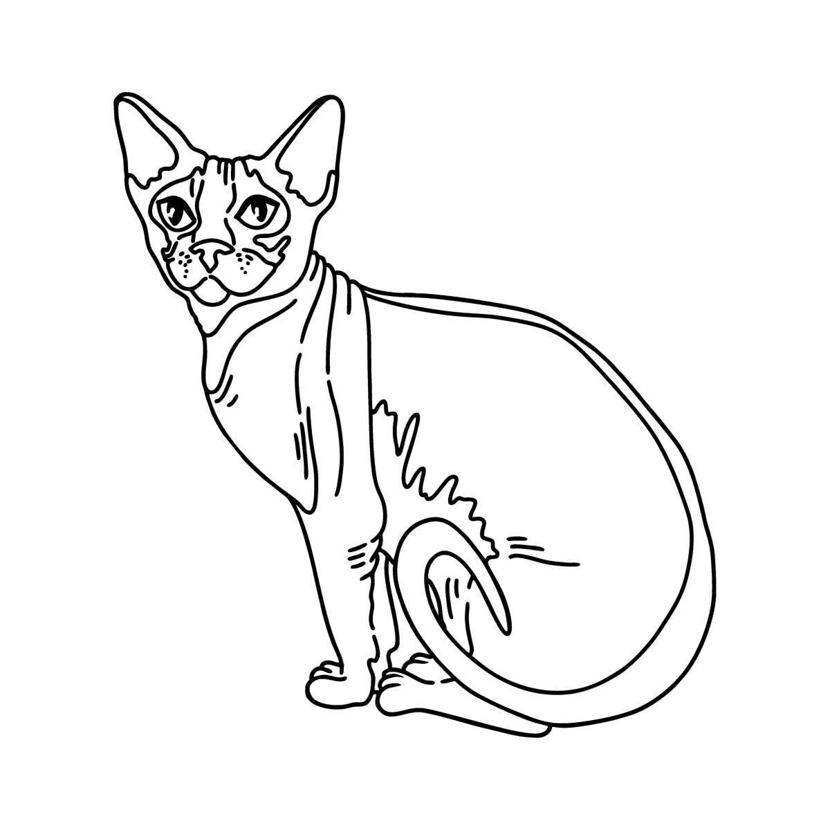 Красочная страница раскраски кота-сфинкса