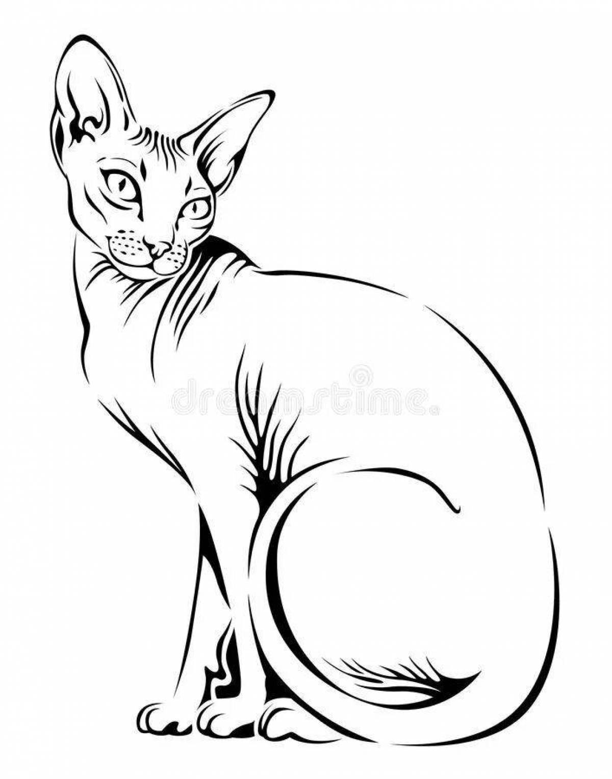 Причудливая раскраска кота-сфинкса