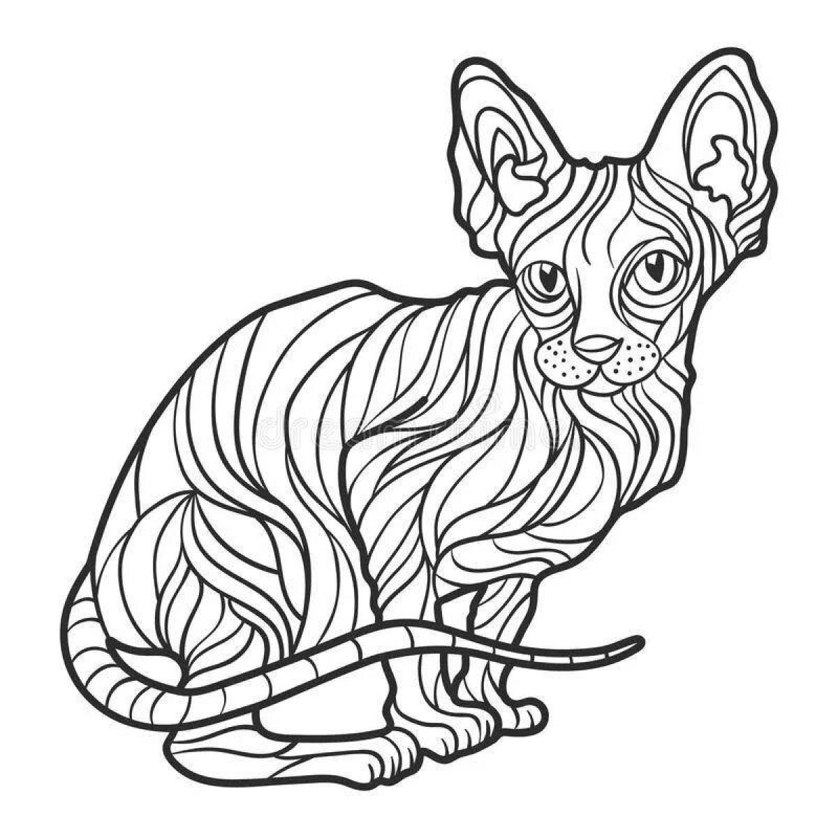 Раскраска анимированная кошка сфинкс
