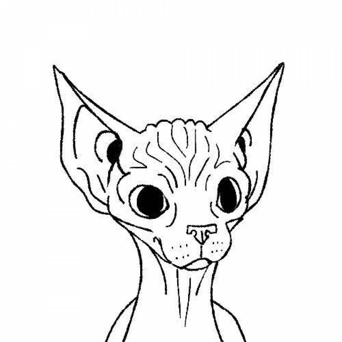 Раскраска гипнотическая кошка-сфинкс