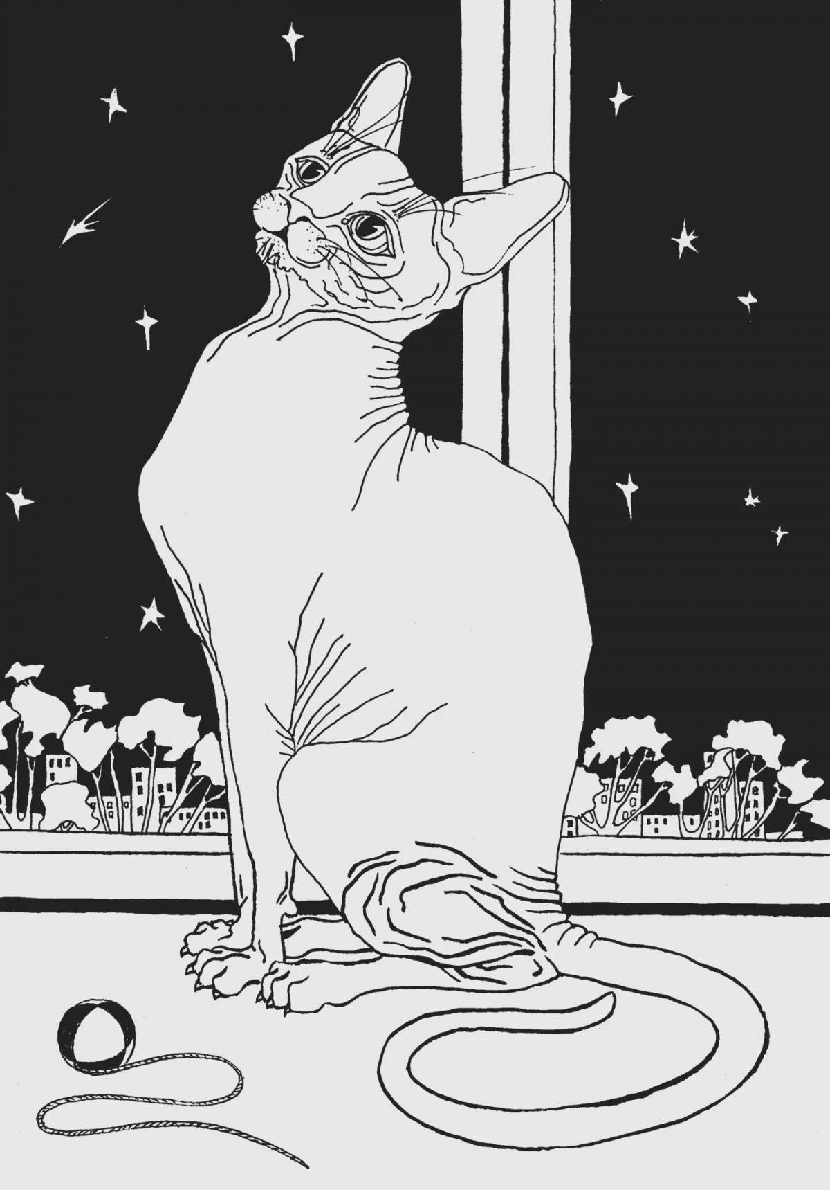 Раскраска безмятежный сфинкс кошка